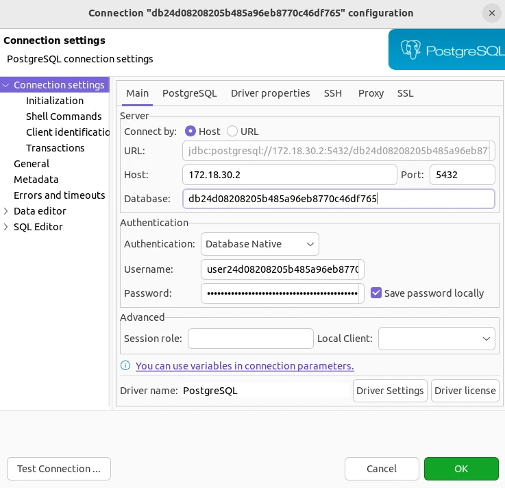 Dbeaver Postgresql Connection