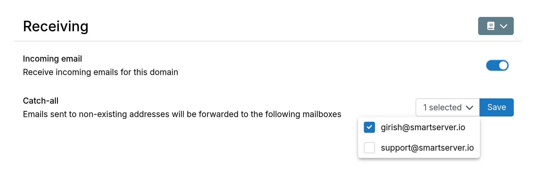 Catch All Mailbox