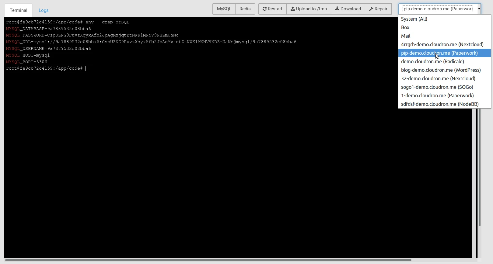 Webterminal Mysql