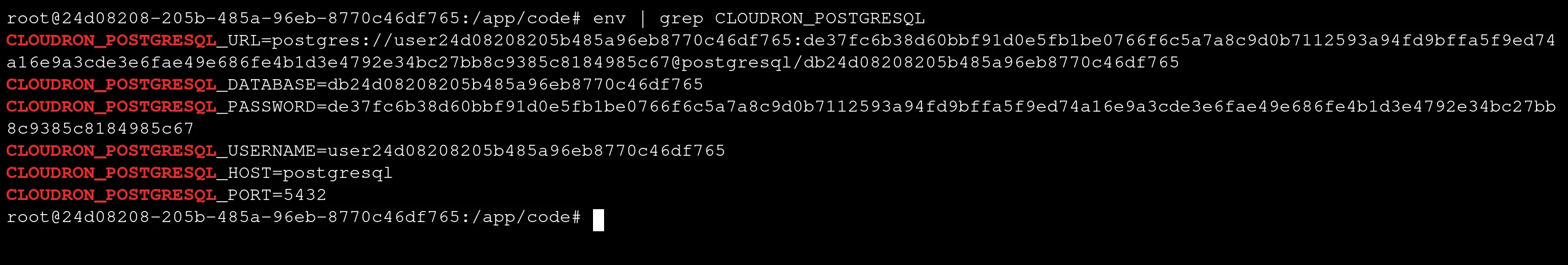 Postgresql Addon Env