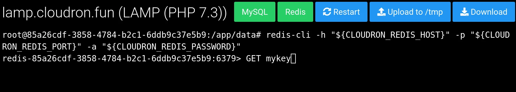 Redis Shell